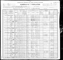 1900-census_RICHARDSON